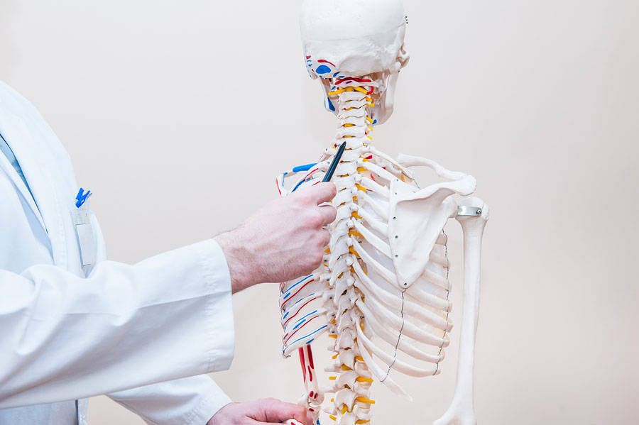 Upper Cervical Chiropractic in Utah